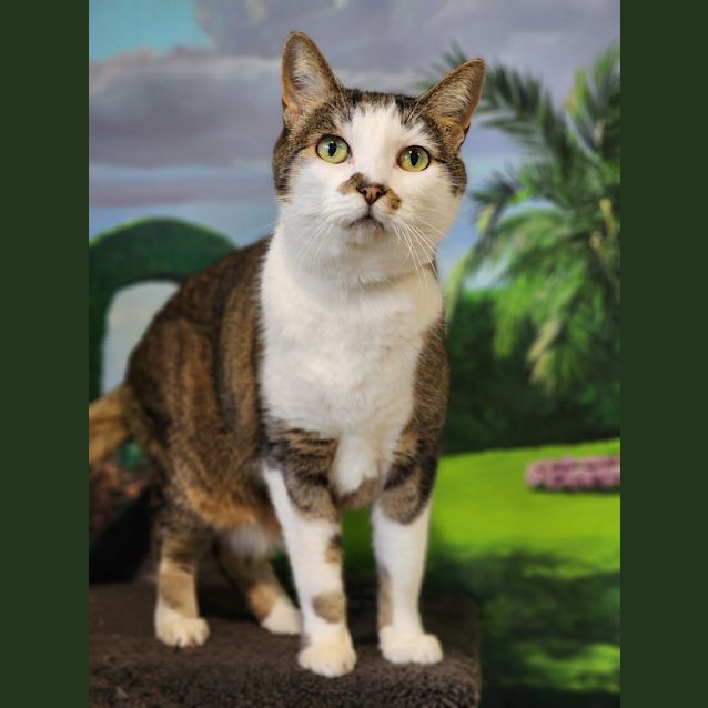 Photo of Rogue