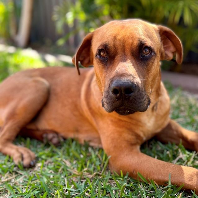 Photo of Buddy Smith