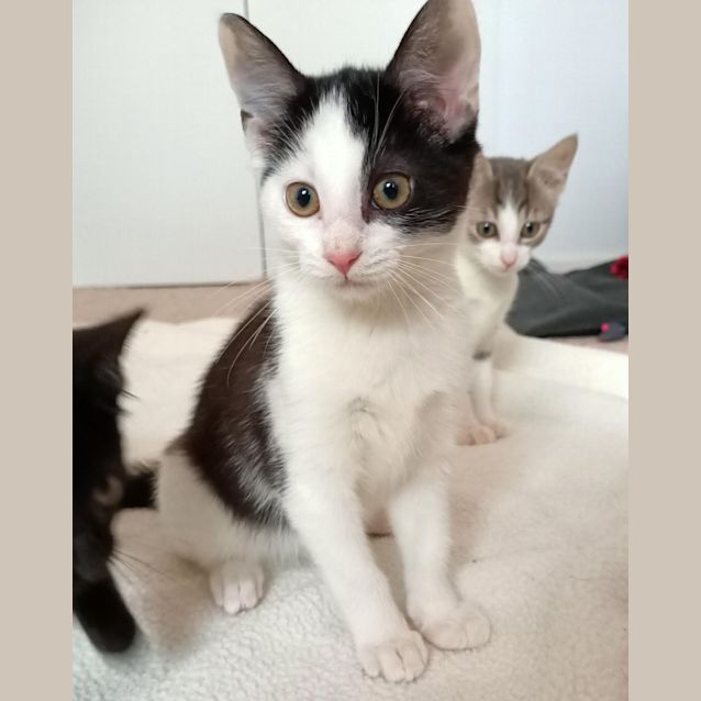 Photo of Edwina   Located In Eltham