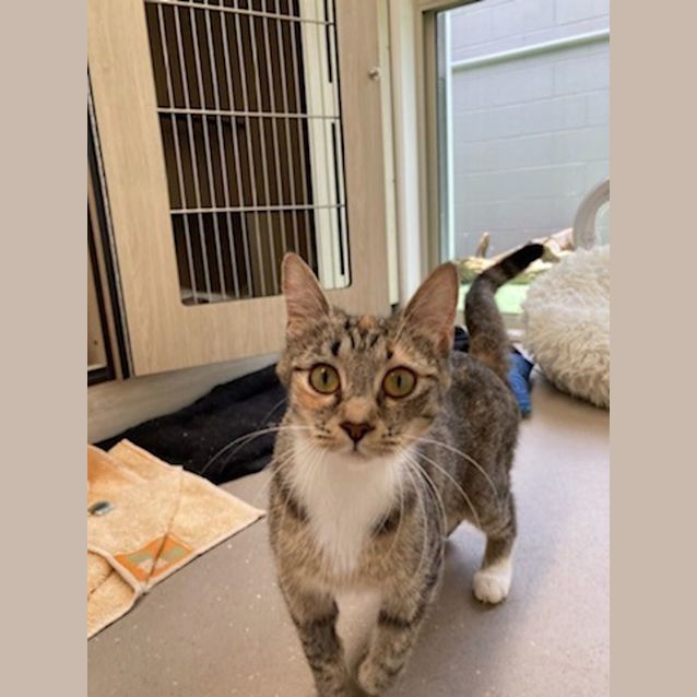 Photo of C1112 Kirsten