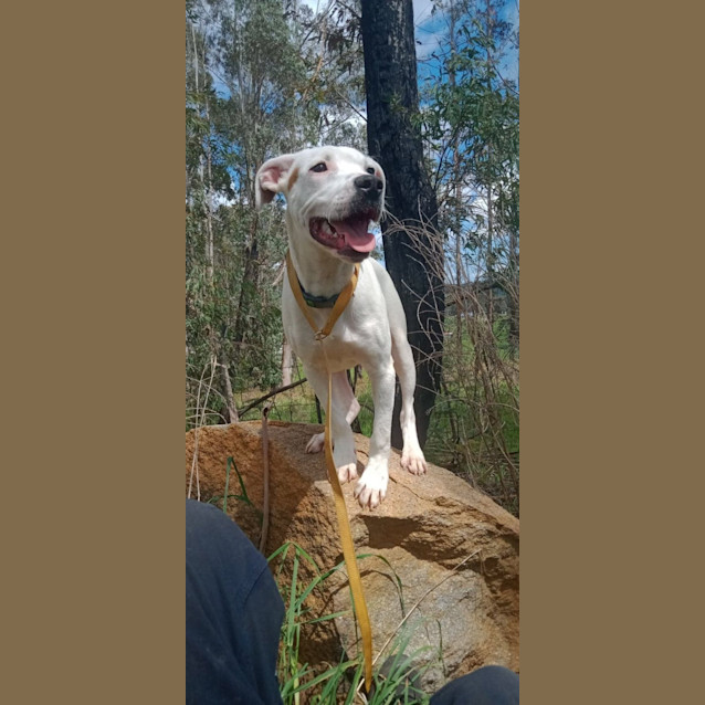 Photo of Benny