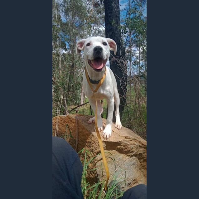 Photo of Benny