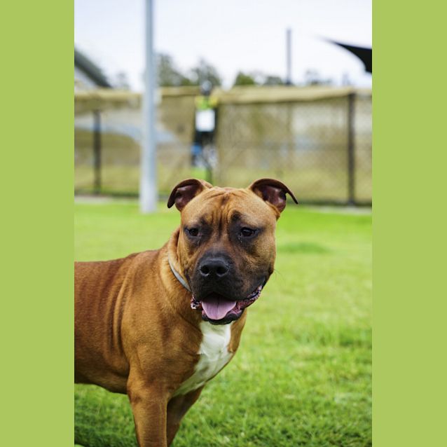Photo of Junior