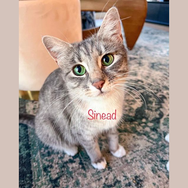 Photo of Sinead 
