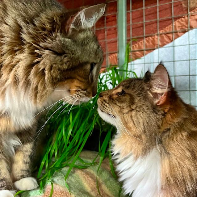 Photo of Freddie & Amber