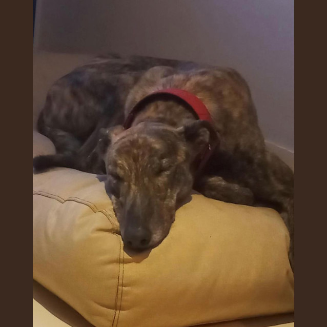 Photo of Maze And Spike