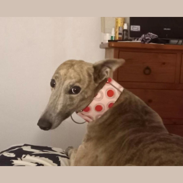 Photo of Maze And Spike