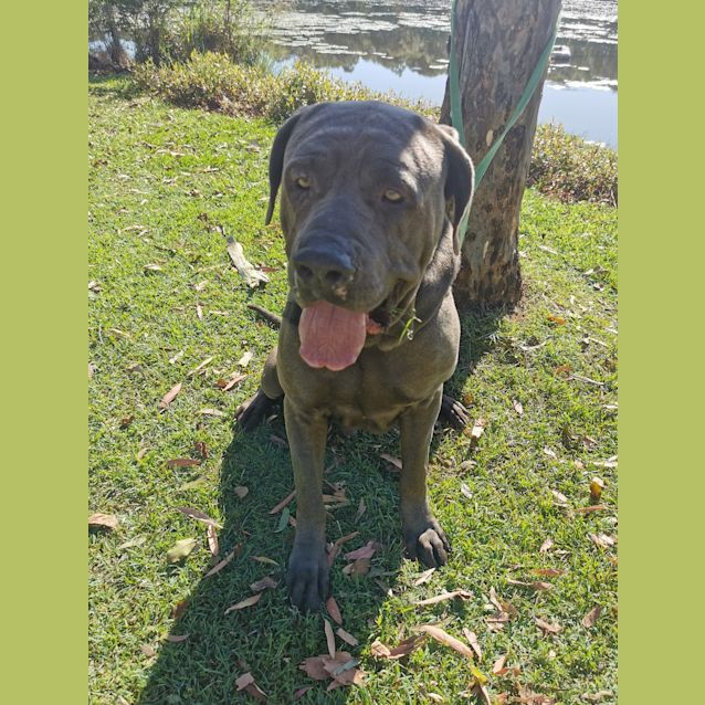 Photo of Zeus