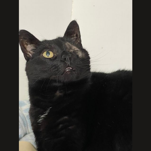 Photo of Siara
