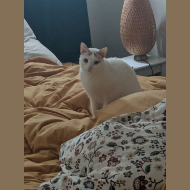 Photo of Doofy And Milo