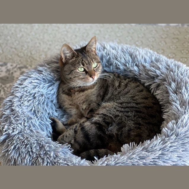 Photo of Kitty Mc Namara