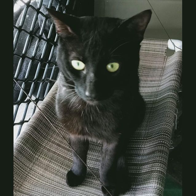 Photo of Salem