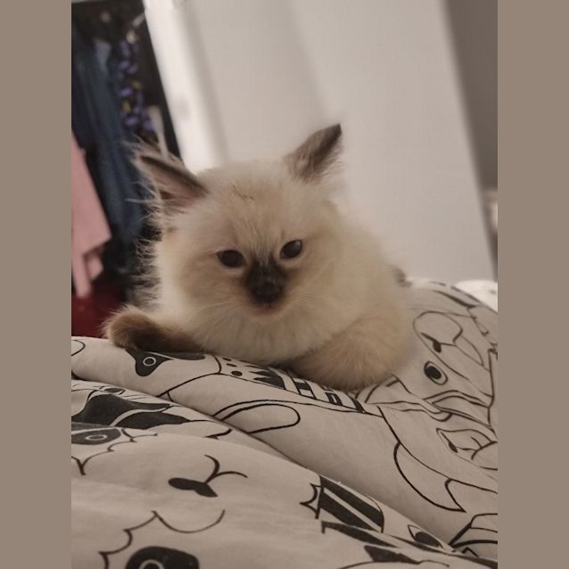 Photo of Pat