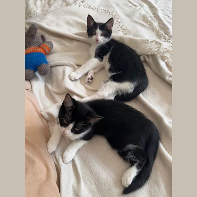 Photo of Willow & Whiskey