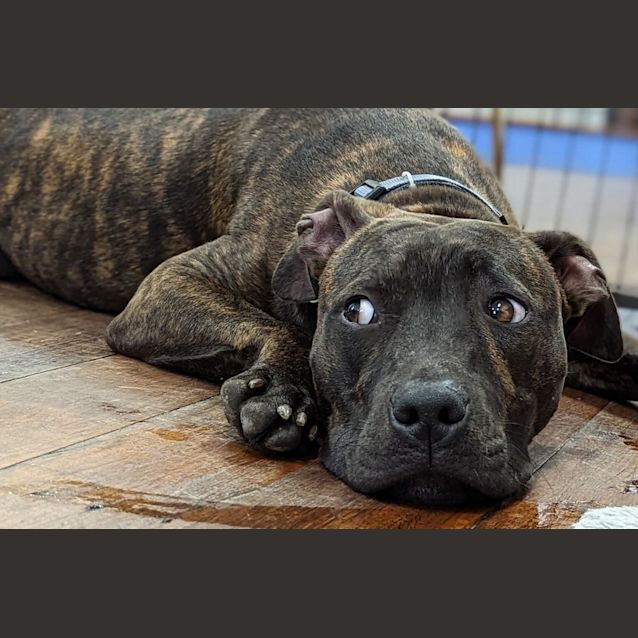 Photo of Terry / Tarragon