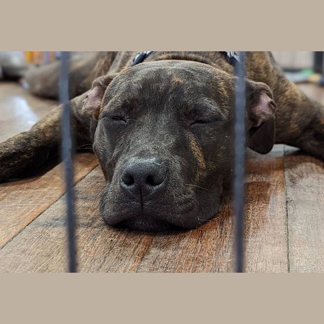 Photo of Terry / Tarragon