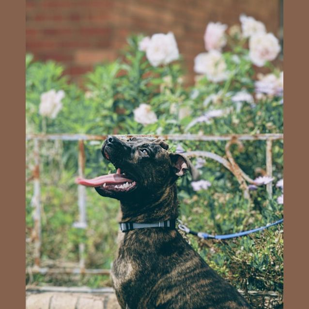 Photo of Terry / Tarragon