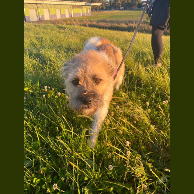 Photo of Wendy