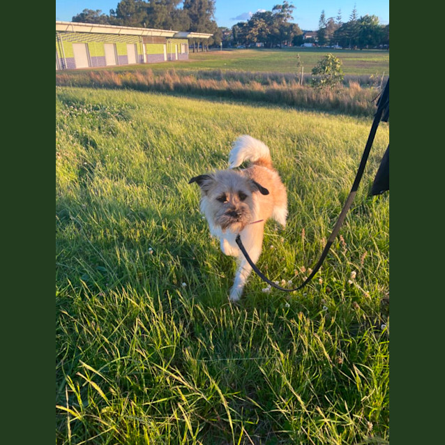 Photo of Wendy