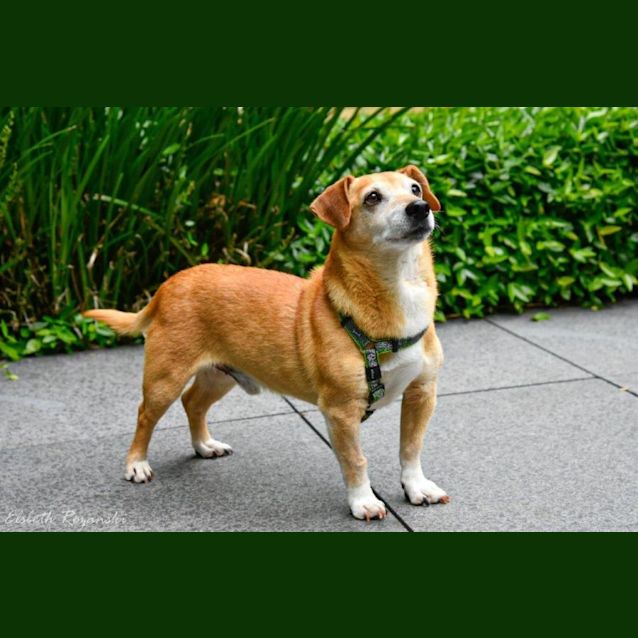 Photo of Dash Hadley