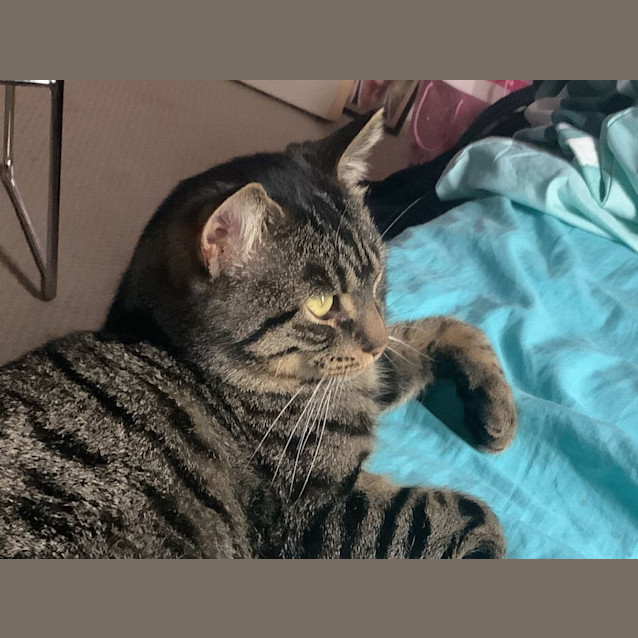 Photo of Tabio