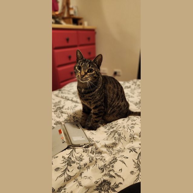 Photo of Marvelous Marvin!