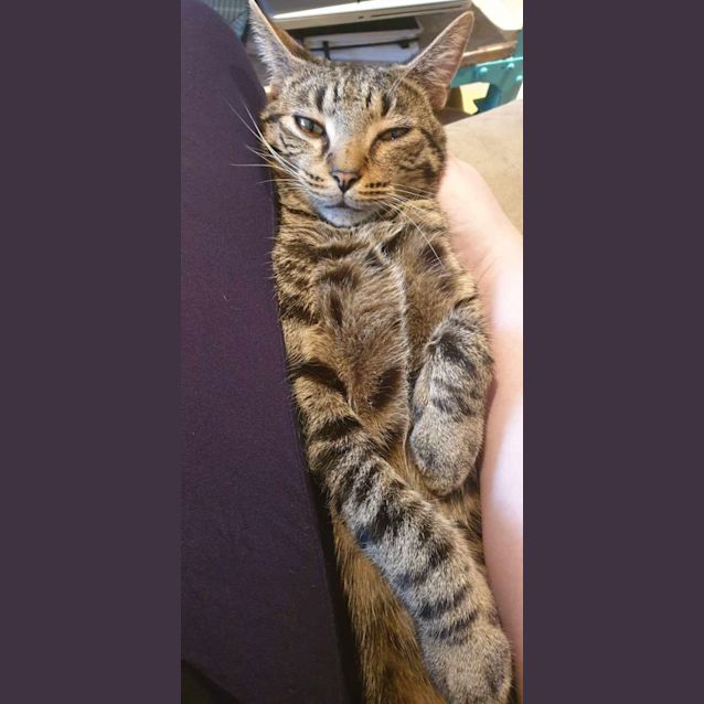 Photo of Marvelous Marvin!