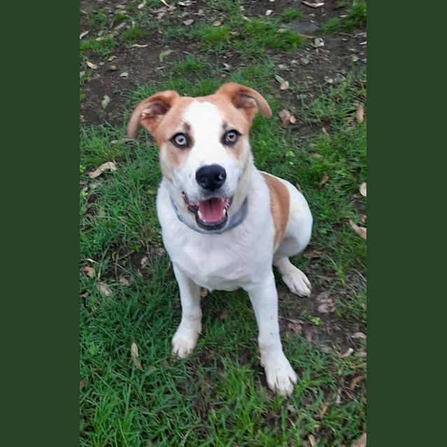 Photo of Oakley