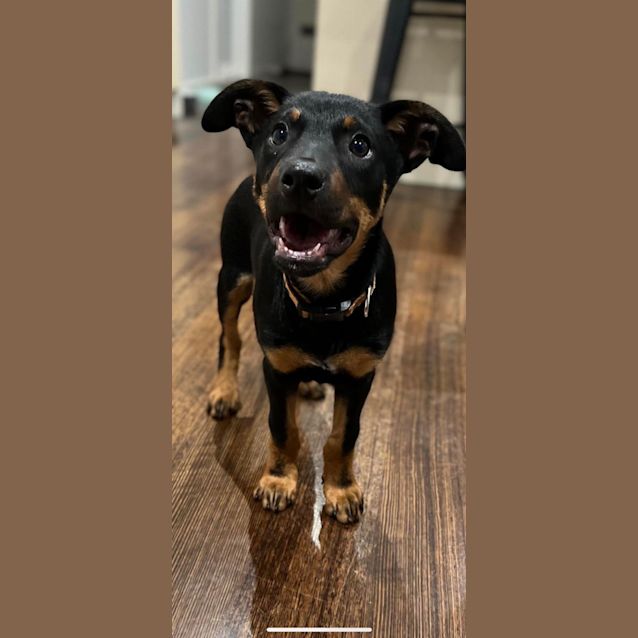 Photo of Gambie 