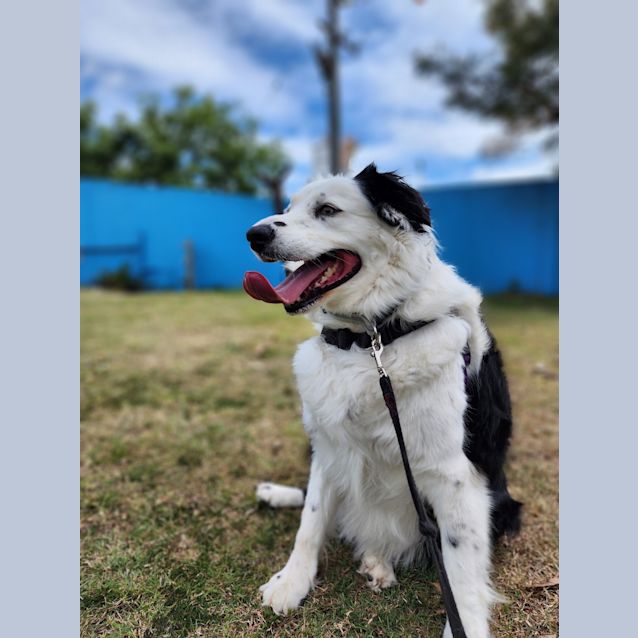 Photo of Chloe