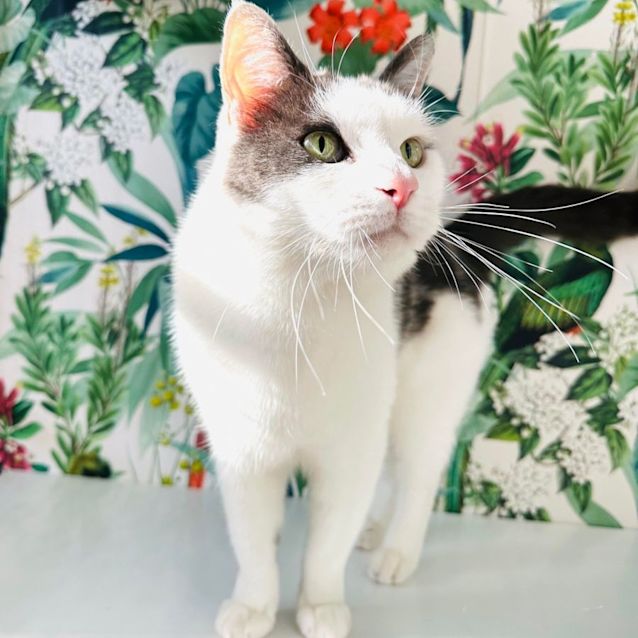 Photo of Sheldon   Located In Lower Templestowe