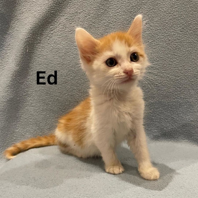 Photo of Ed