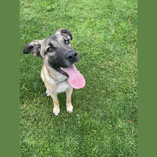 Photo of Mocona / Bandit