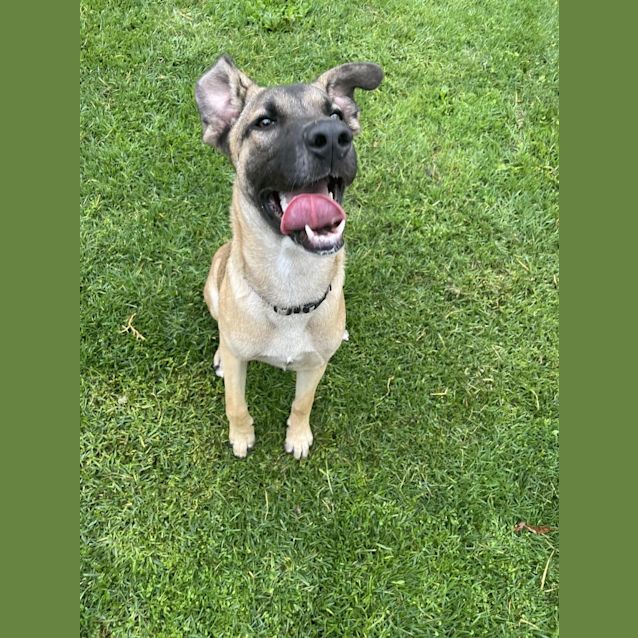 Photo of Mocona / Bandit