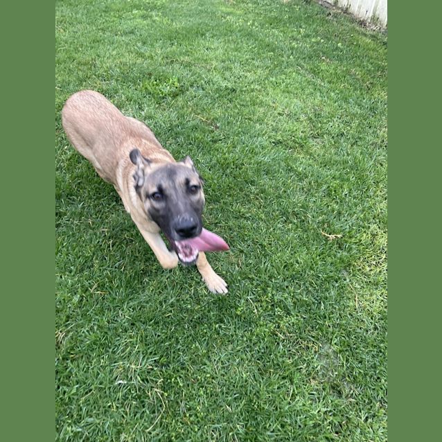 Photo of Mocona / Bandit