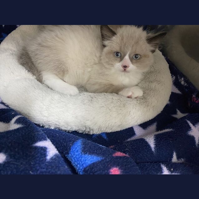 Photo of Cloudy
