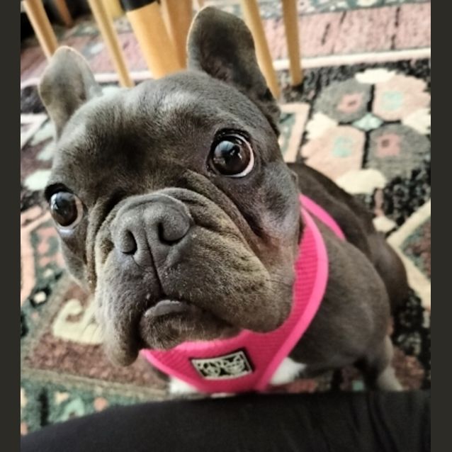 Photo of Ren 