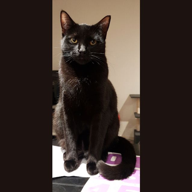 Photo of Slinky