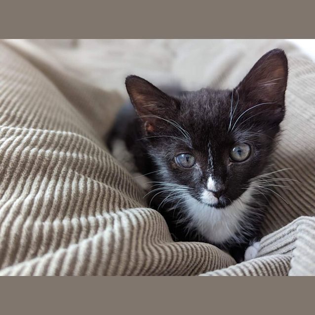 Photo of Bonny