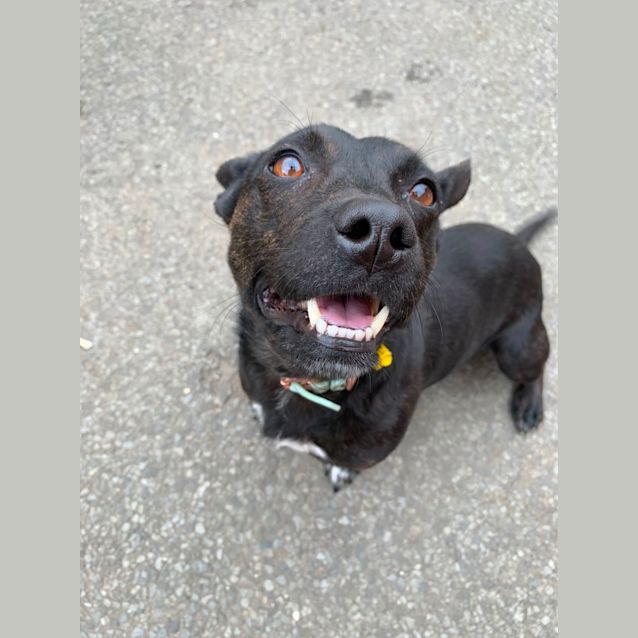 Photo of Roxy
