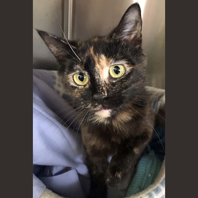 Photo of Leela