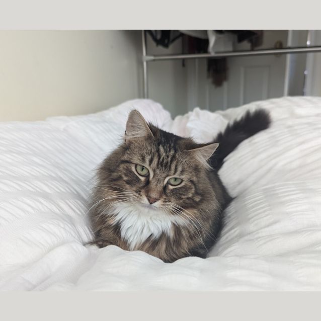 Photo of Lillith