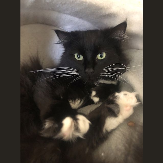 Photo of Norm