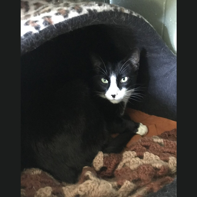Photo of Jasper