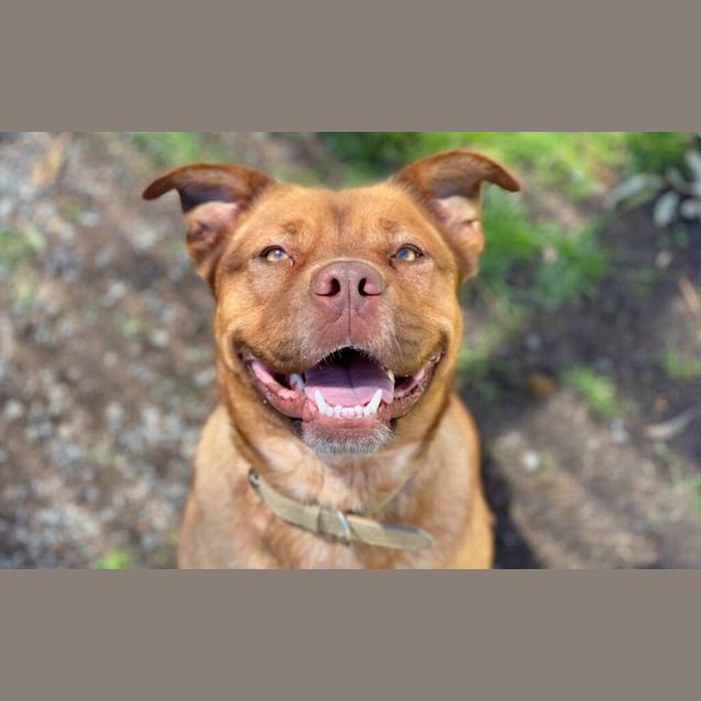 Photo of Buttercup