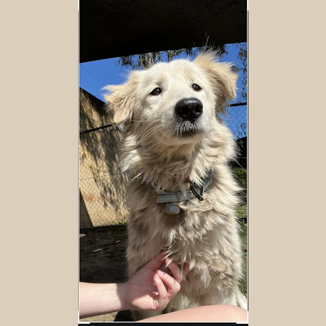 Photo of Buffy