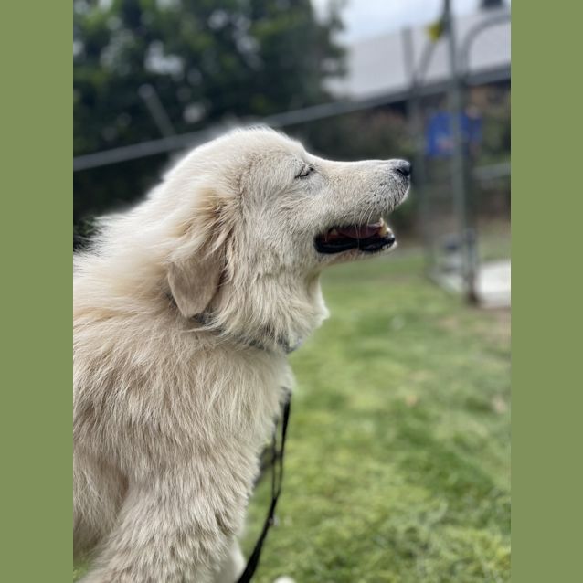 Photo of Tori