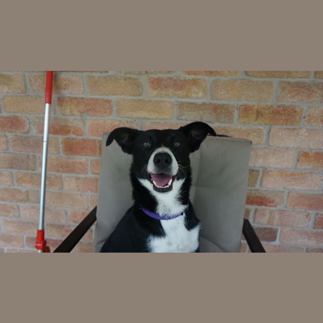 Photo of Sasha