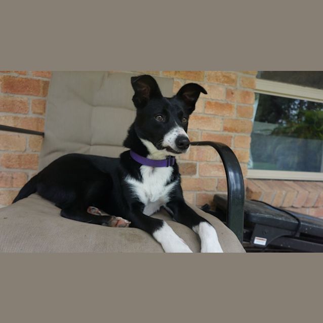 Photo of Sasha