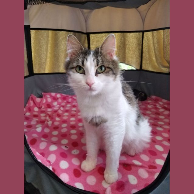 Photo of Nell